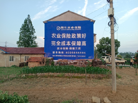 鲁山墙体广告的优劣势你知道吗？