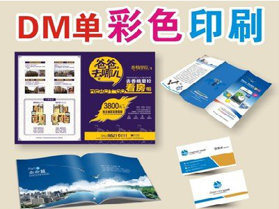 鲁山单页印刷，色彩搭配简单。